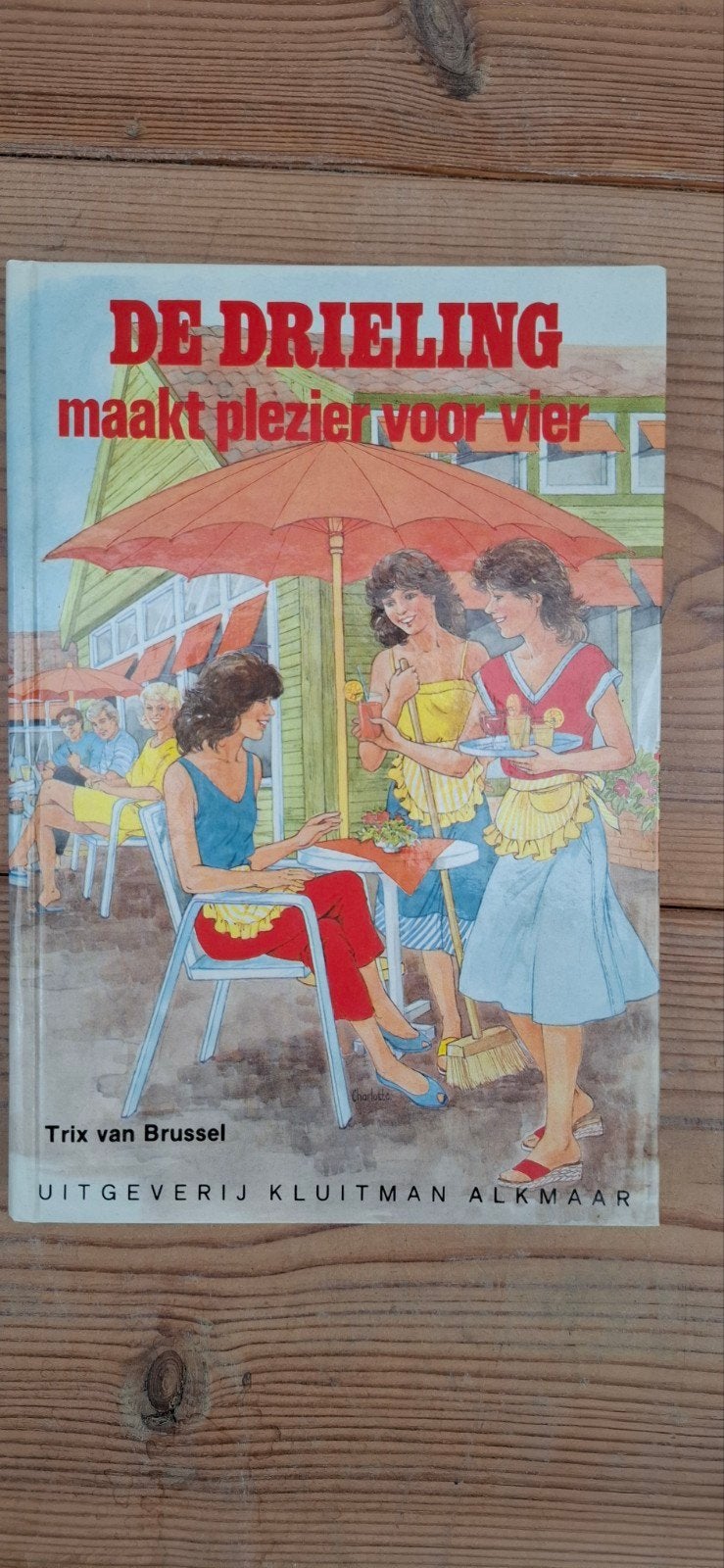 Boek De drieling maakt plezier, Ophalen of Verzenden, Gelezen, Trix van Brussel, Fictie