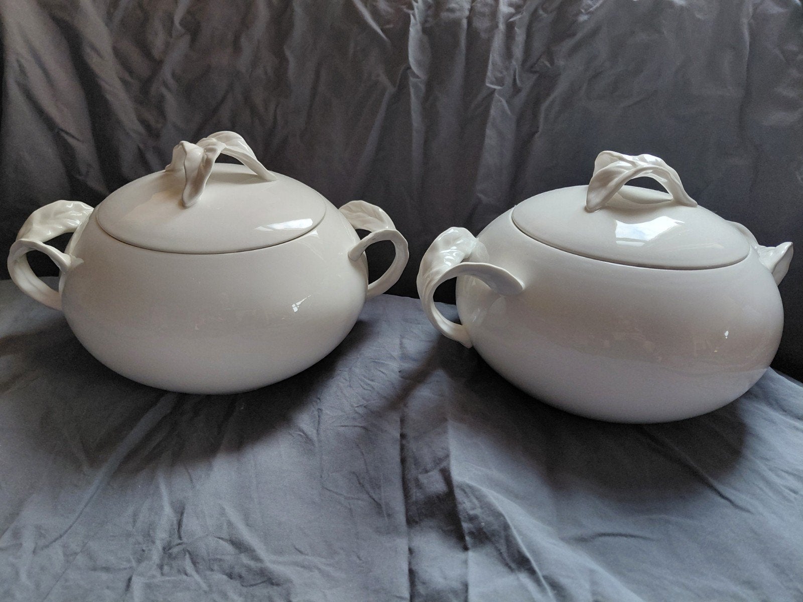 Villeroy & Boch Foglia dekschalen met deksel (2 stuks), Ophalen of Verzenden