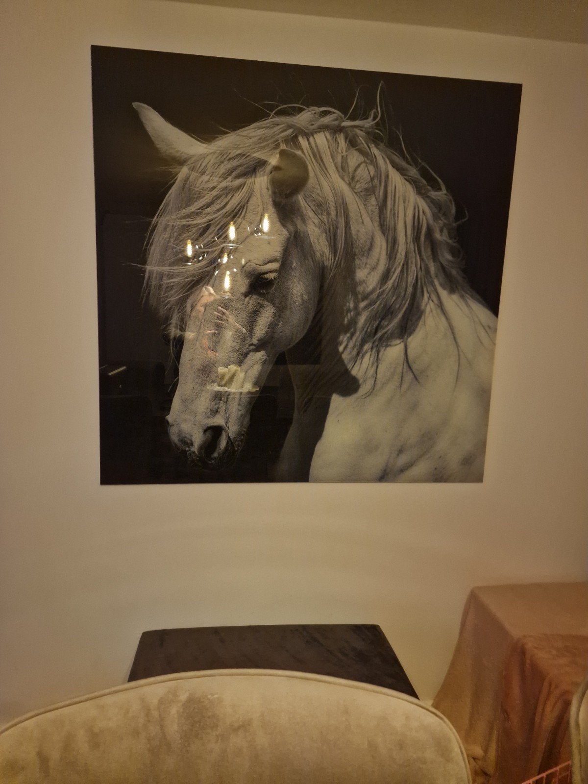 groot glas schilderij paard, Antiek en Kunst, Ophalen