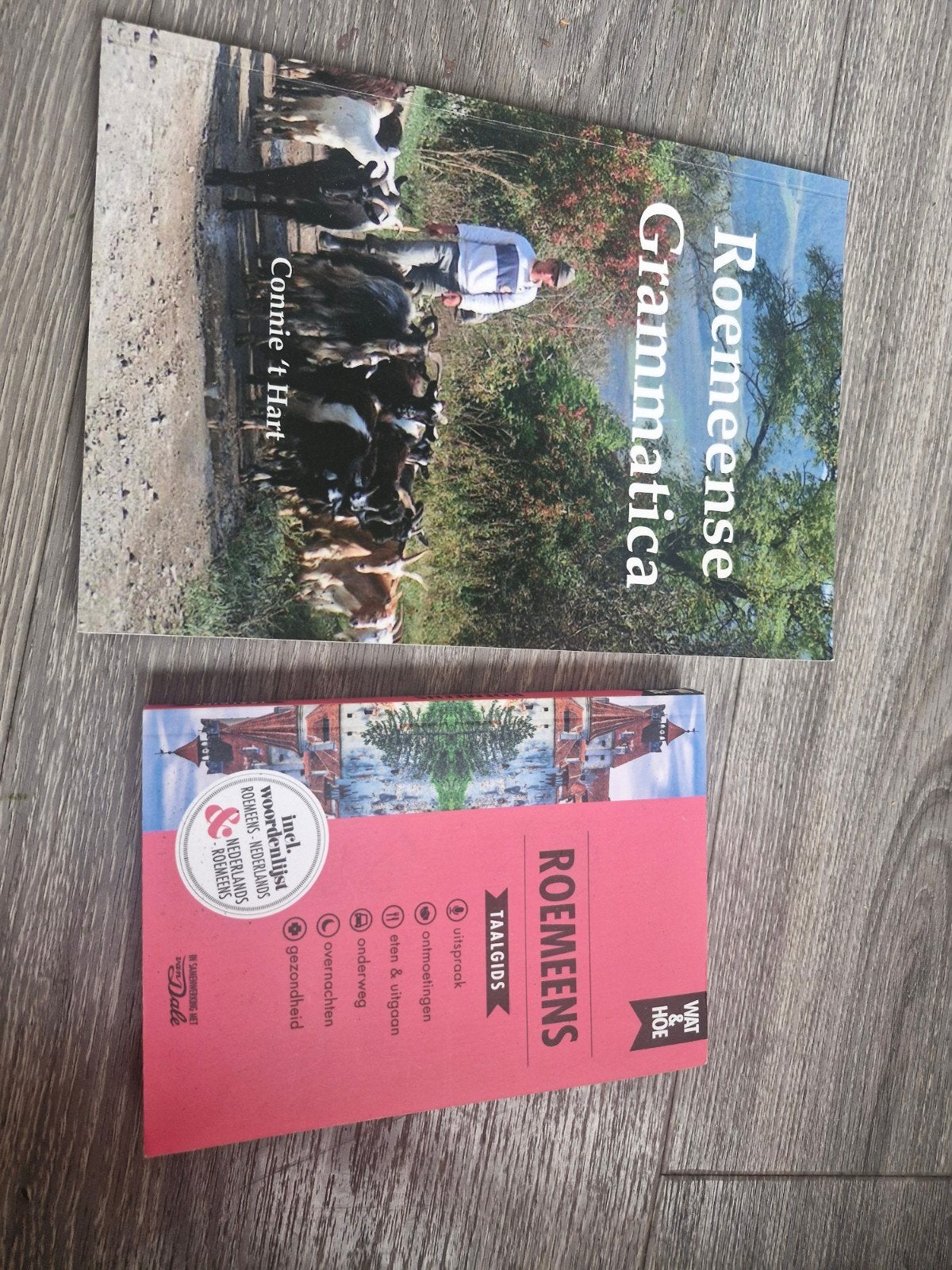 Twee boeken om Roemeens te leren, Boeken, Ophalen of Verzenden, Zo goed als nieuw, Roemeens, Non-fictie