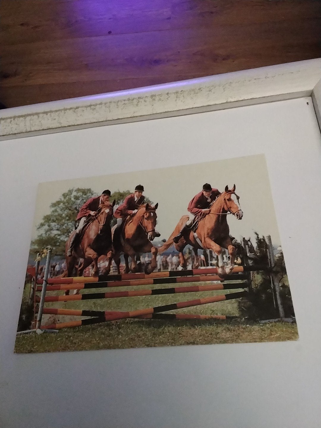 Vintage Ansichtkaart: Paardensport - Springruiters, Ophalen of Verzenden, 1960 tot 1980, Ongelopen, Overig Europa