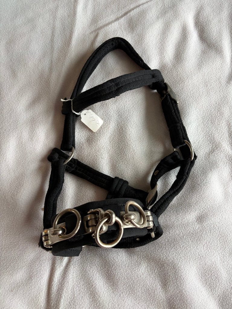 Kaptoom A|B Pony of shet, Dieren en Toebehoren, Shetlander, Overige disciplines, Nieuw, Ophalen of Verzenden