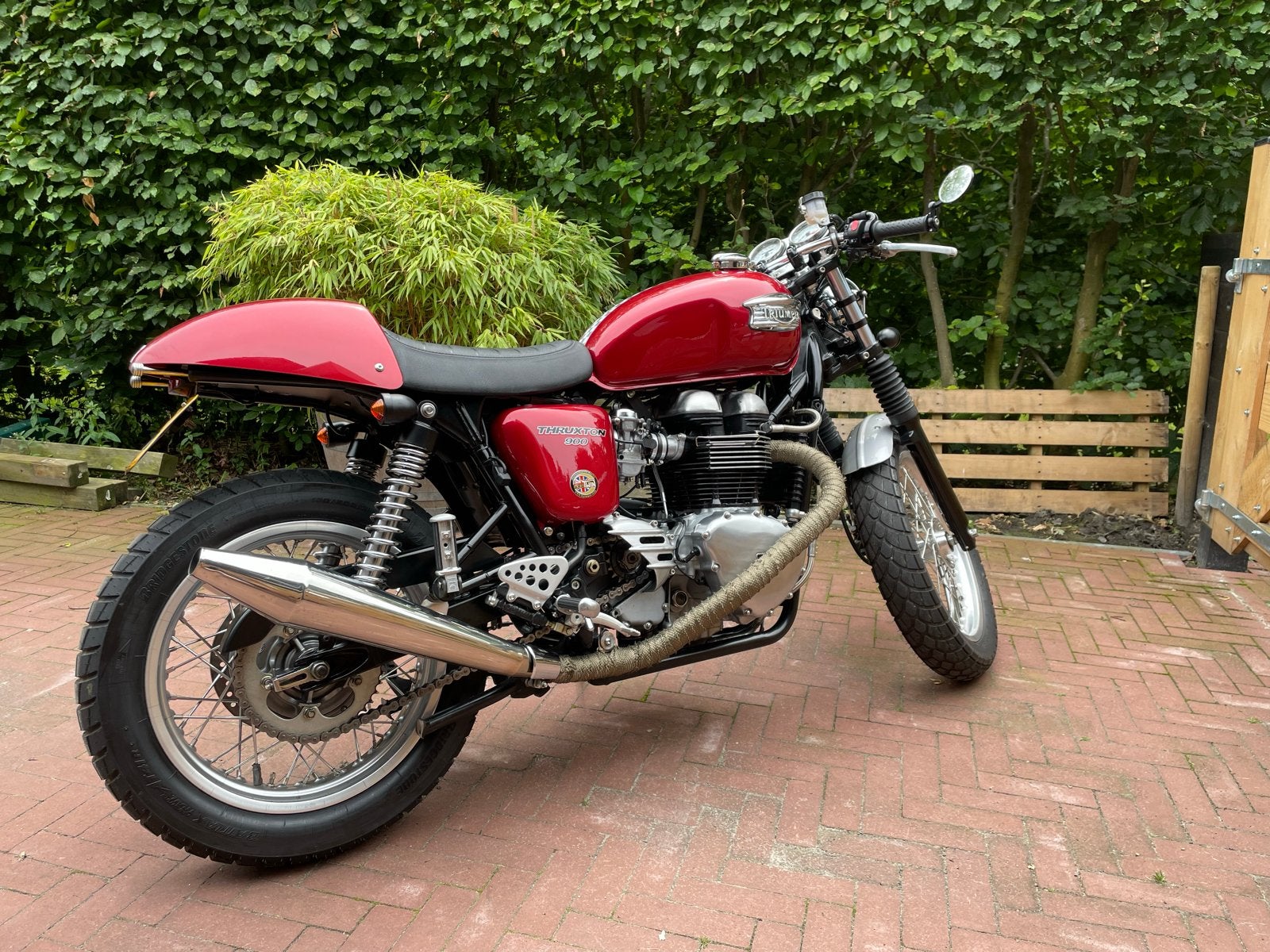 Triumph Thruxton 900 - Klassieke Cafe Racer, Motoren, Motoren | Triumph, 2 cilinders, Sportuitlaat, Gebruikt, Particulier