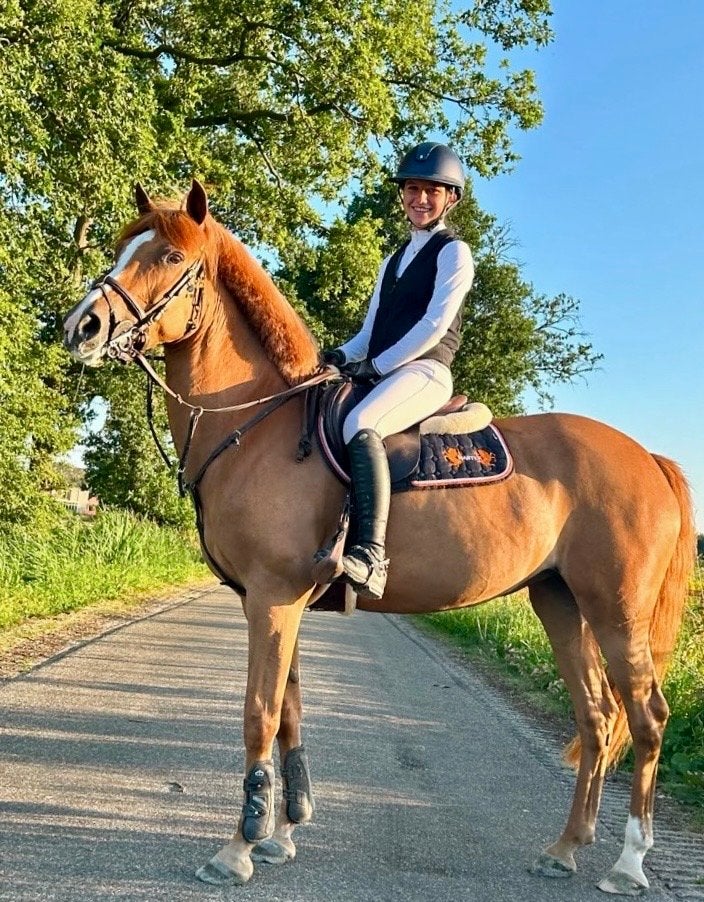 Super lieve brave ALLROUND D PONY MERRIE 12 jaar, Dieren en Toebehoren, Pony's, M, Springpony, 11 jaar of ouder, D pony (1.37m tot 1.48m)
