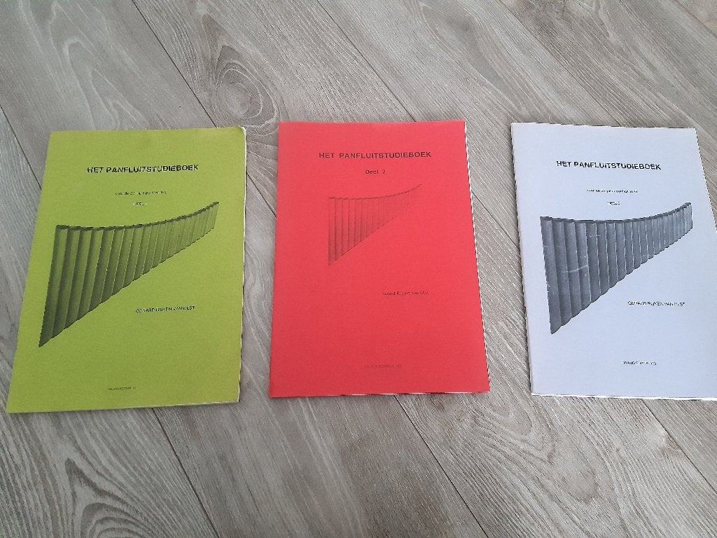 Panfluit lesboeken, Boeken, Gelezen, Instrument, Ophalen of Verzenden, Gerard Rijken van Olst