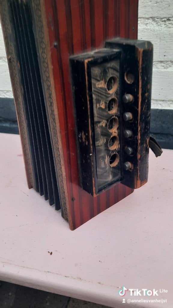 Antieke Accordeon - Decoratief Muziekinstrument, Ophalen of Verzenden, Gebruikt, Overige formaten, Overige merken