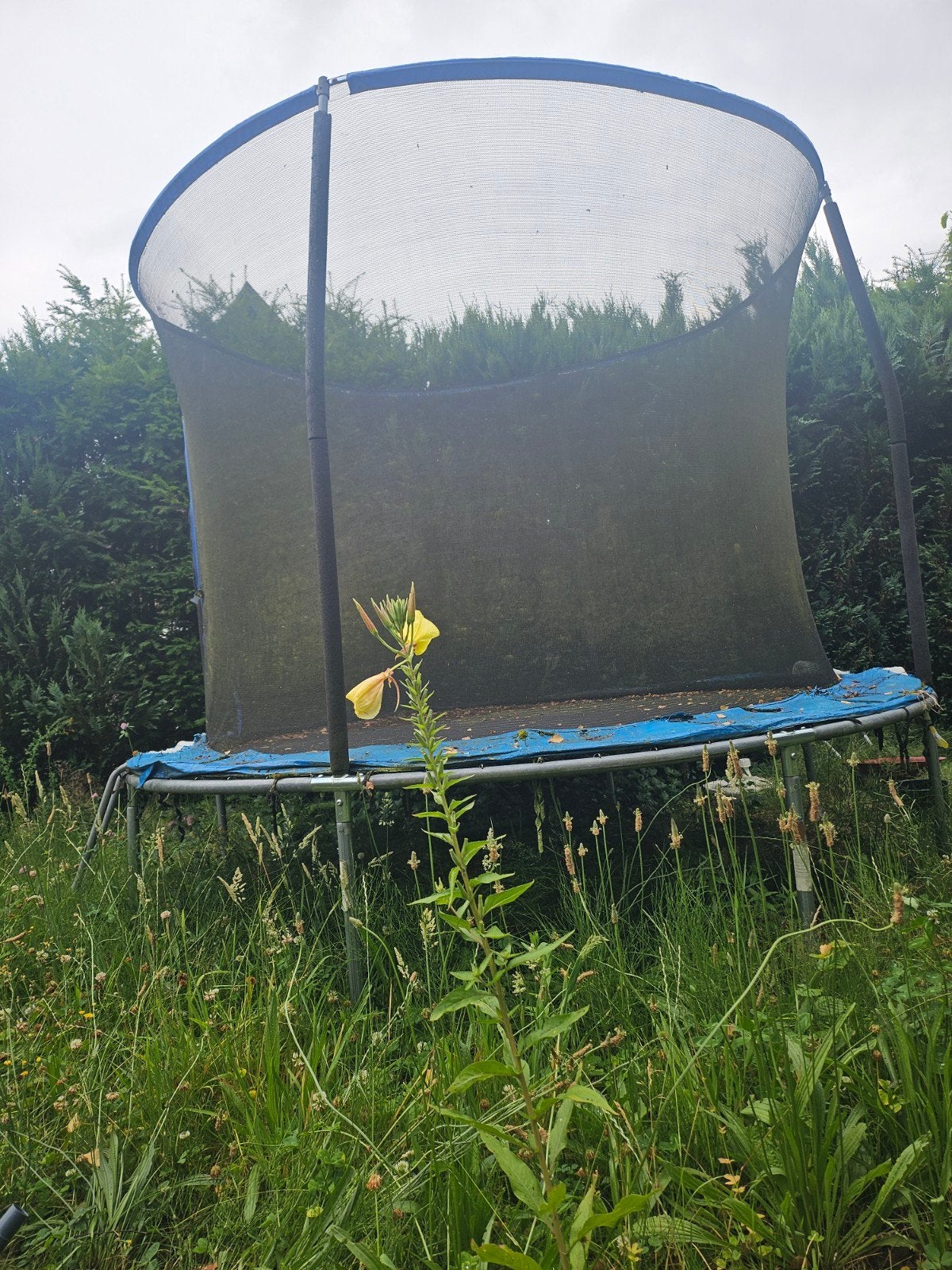 Gebruikte trampoline met veiligheidsnet, Ophalen of Verzenden