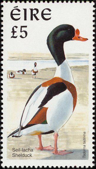 IERLAND 40 - Dieren: vogels (bergeend), Ophalen of Verzenden, Postfris, Dier of Natuur