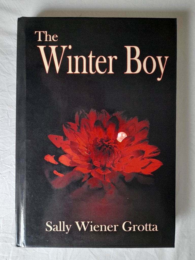 The Winter Boy - Sally Wiener Grotta - Hardcover - NIEUW, Boeken, Ophalen of Verzenden, Nieuw
