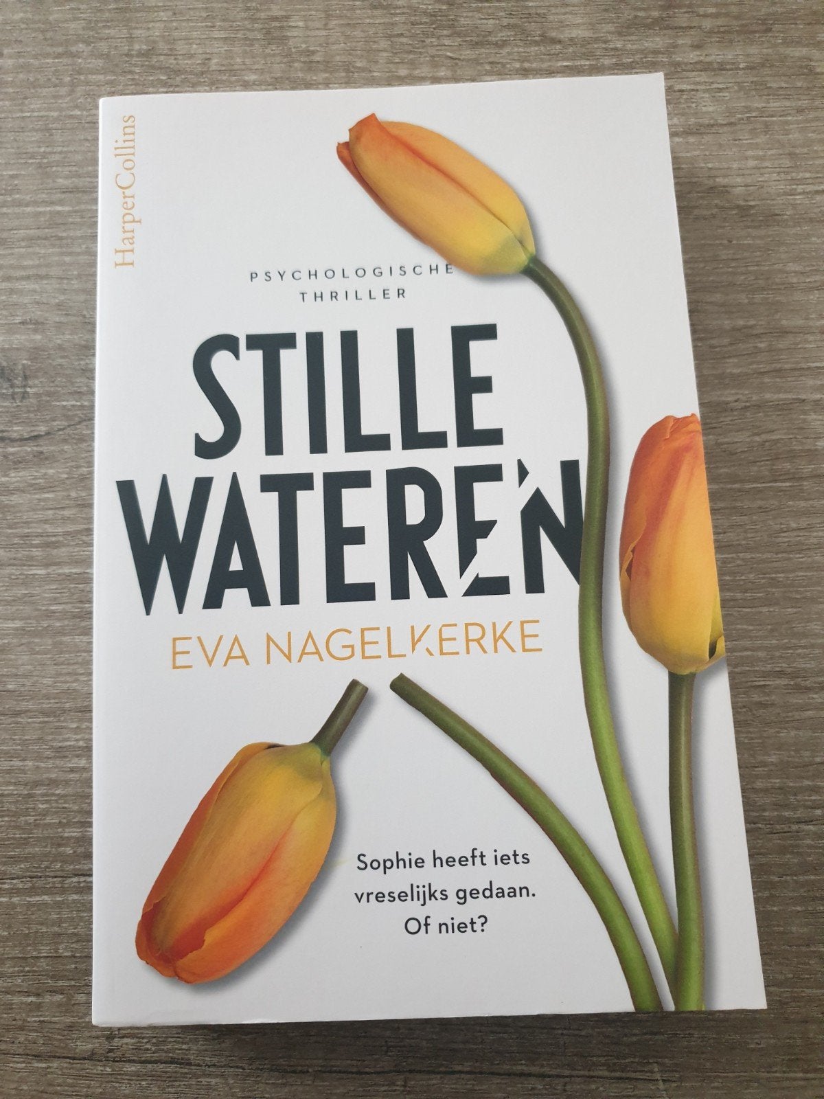 Stille Wateren - Psychologische Thriller van Eva Nagelkerke, Ophalen of Verzenden, Gelezen, Eva Nagelkerke