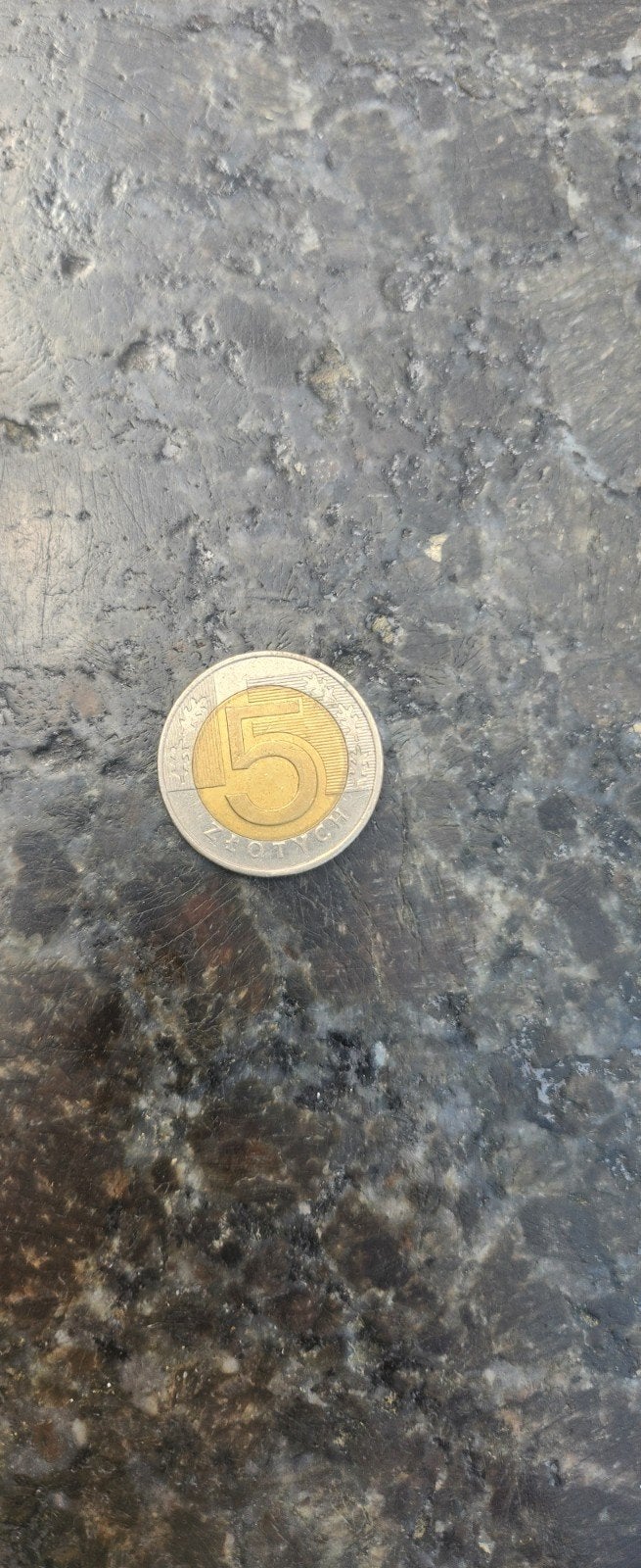 Poolse 5 Zloty munt 2009, Ophalen of Verzenden, Polen, Losse munt