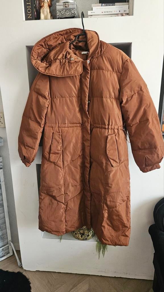 Lekkere winterjas, Ophalen, Zo goed als nieuw, Maat 46/48 (XL) of groter, Bruin