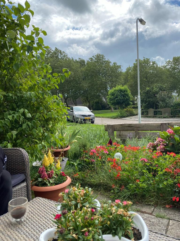 Woningruil, Ophalen of Verzenden, 25 tot 50 cm, Overige typen