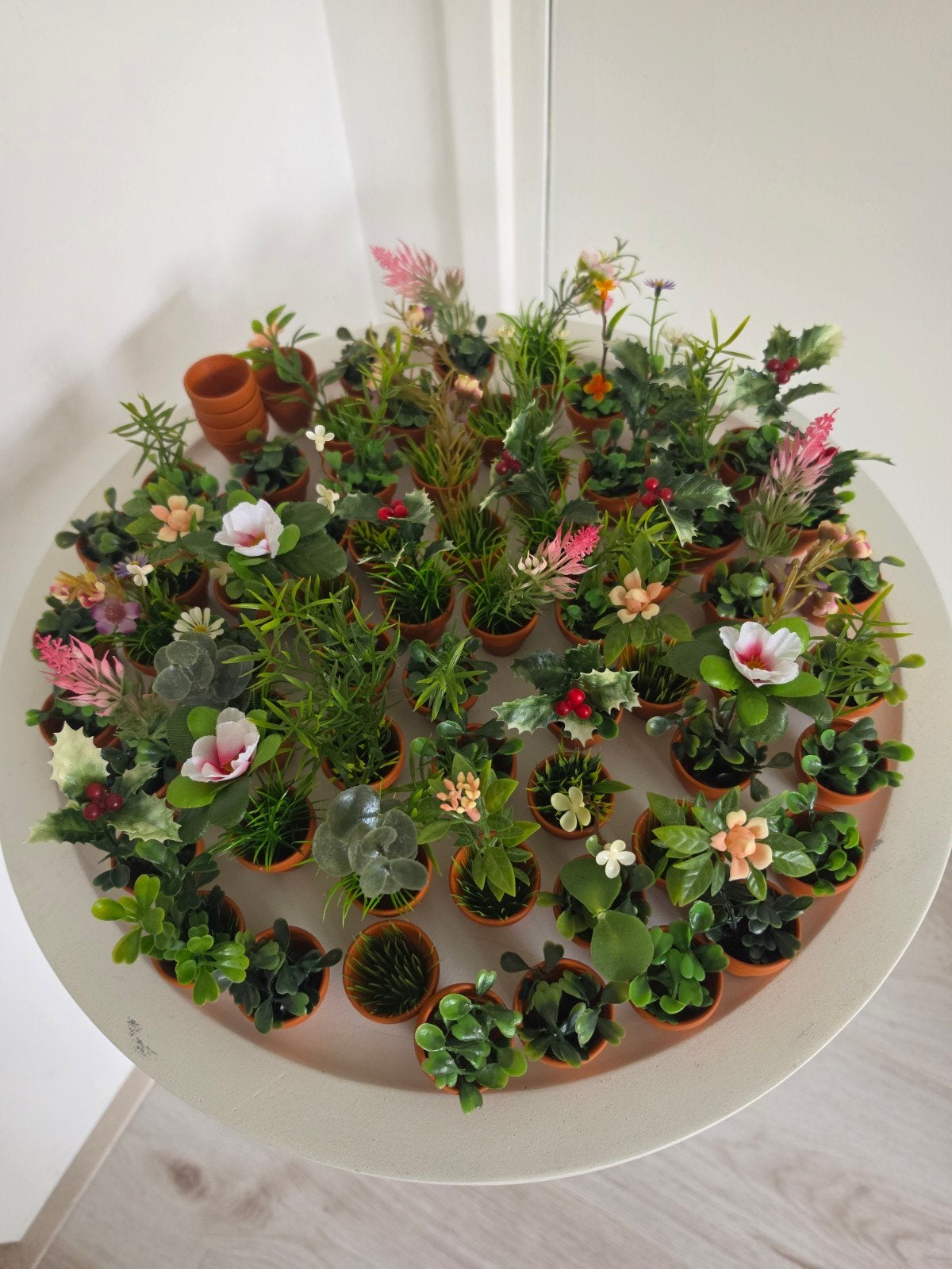 63 mini plantjes met losse potjes - 3 cm hoog, Kunststof, Gebruikt, Minder dan 30 cm, Rond