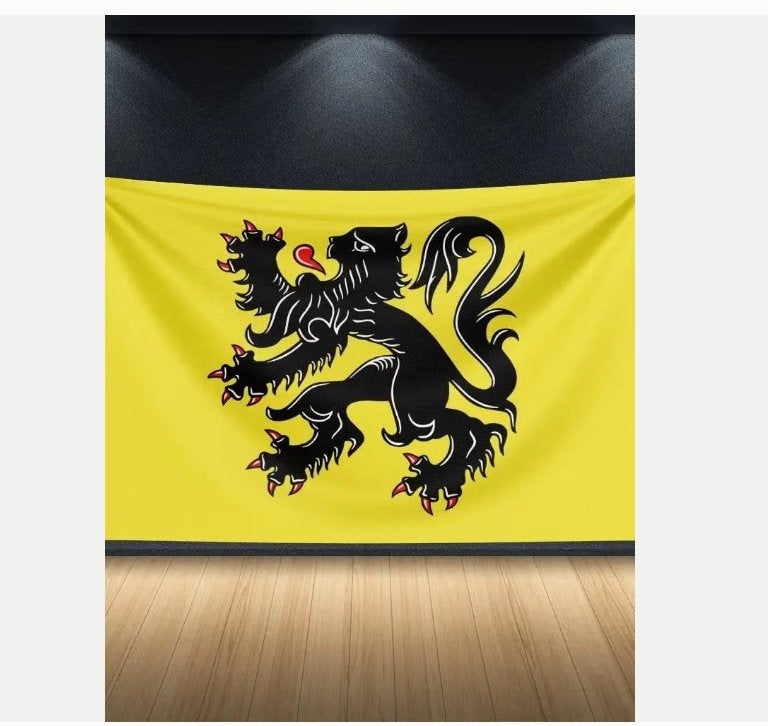 Grote vlag Vlaanderen leeuw (150x90cm), Ophalen of Verzenden, Nieuw