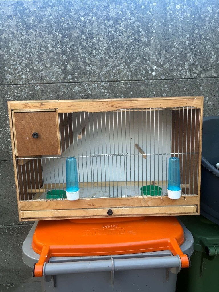 tekoop of teruil tegen gras/valkparkieten vogelkooi/kweekkoo, Meerdere dieren, Parkiet
