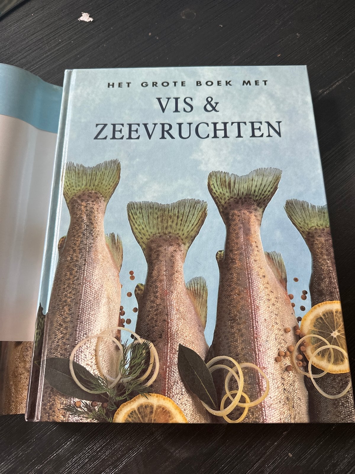 Het Grote Boek met Vis & Zeevruchten Kookboek, Ophalen of Verzenden, Zo goed als nieuw, Overige gebieden, Voorgerechten en Soepen