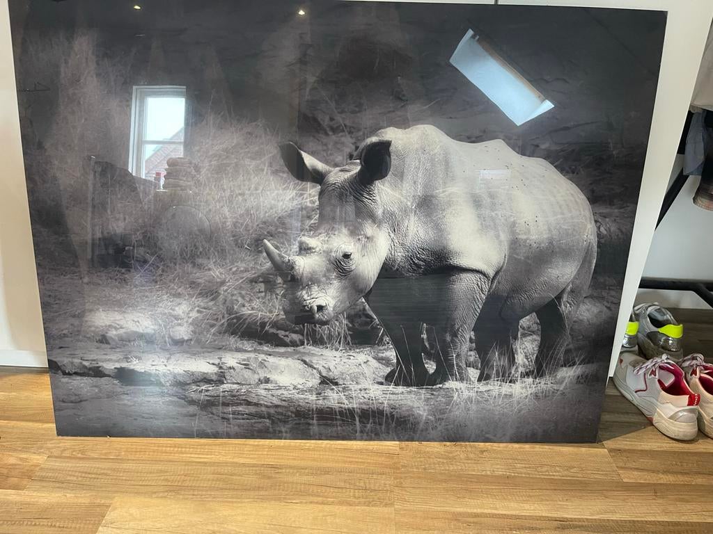 Grote Zwart-Wit Neushoorn Foto/Poster 1.2x1.0m, Ophalen, 125 cm of meer, Zo goed als nieuw, Foto of Poster