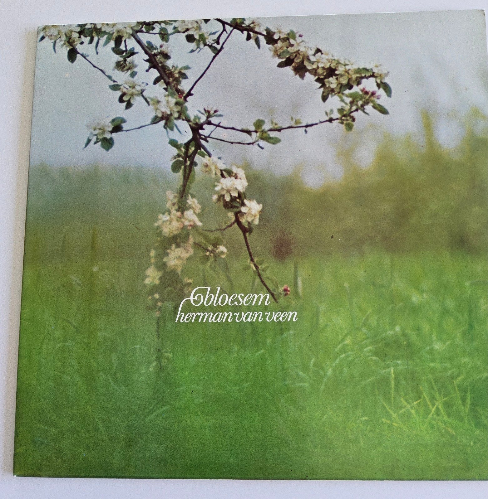 LP Bloesem van Herman van Veen, Cd's en Dvd's, Vinyl | Nederlandstalig, Ophalen of Verzenden, Gebruikt, 12 inch, Levenslied of Smartlap