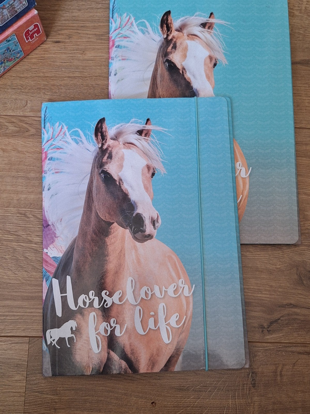 paardenmappen, Diversen, Ophalen of Verzenden, Uitwisbaar, Zo goed als nieuw
