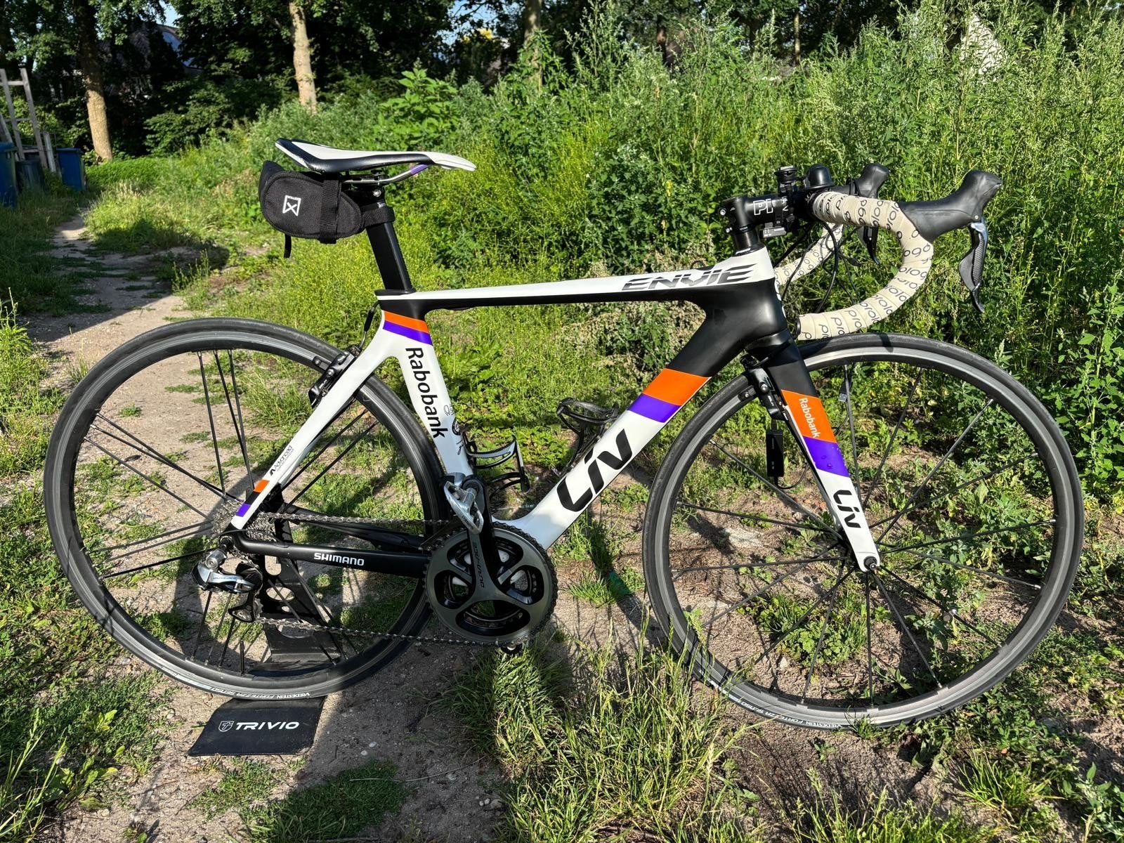 Liv Envie racefiets - Raboploeg training, 28 inch, Gebruikt, Carbon, Velgrem