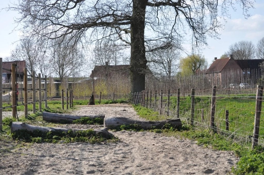 Gezocht: Boomstammen voor Paddock Paradise en Crosshindernis, Minder dan 3 m³, Ophalen, Overige houtsoorten, Stammen