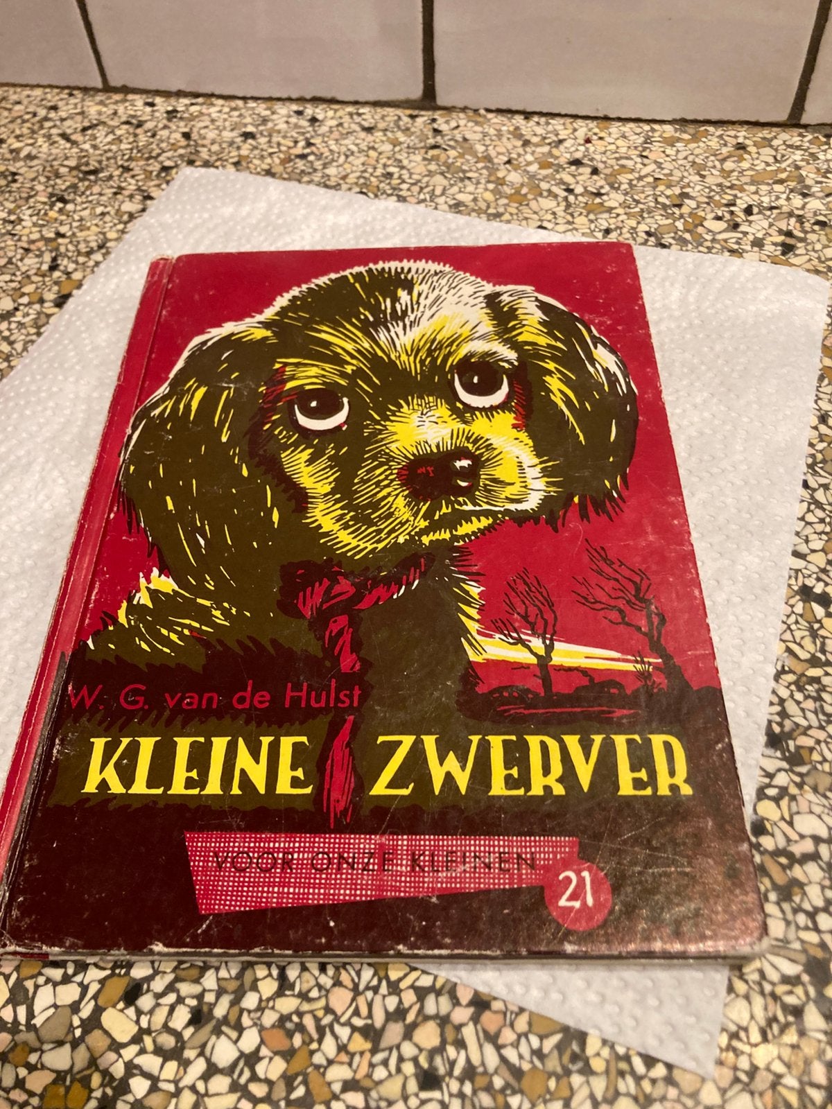 Kleine zwerver, Ophalen of Verzenden, Gelezen
