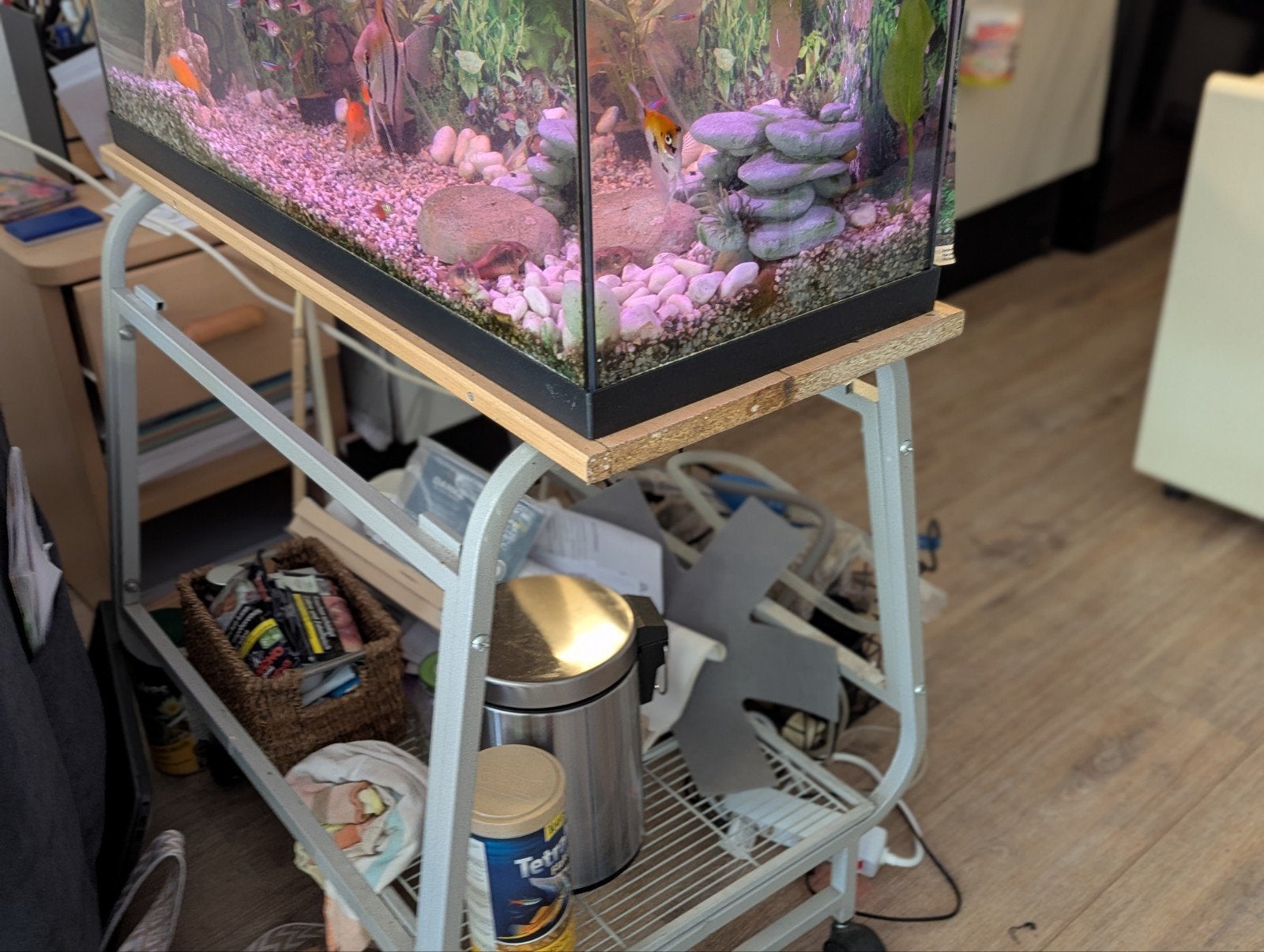 prachtig aquarium met mooie vissen en planten, Ophalen of Verzenden, Zo goed als nieuw, Gevuld zoetwateraquarium