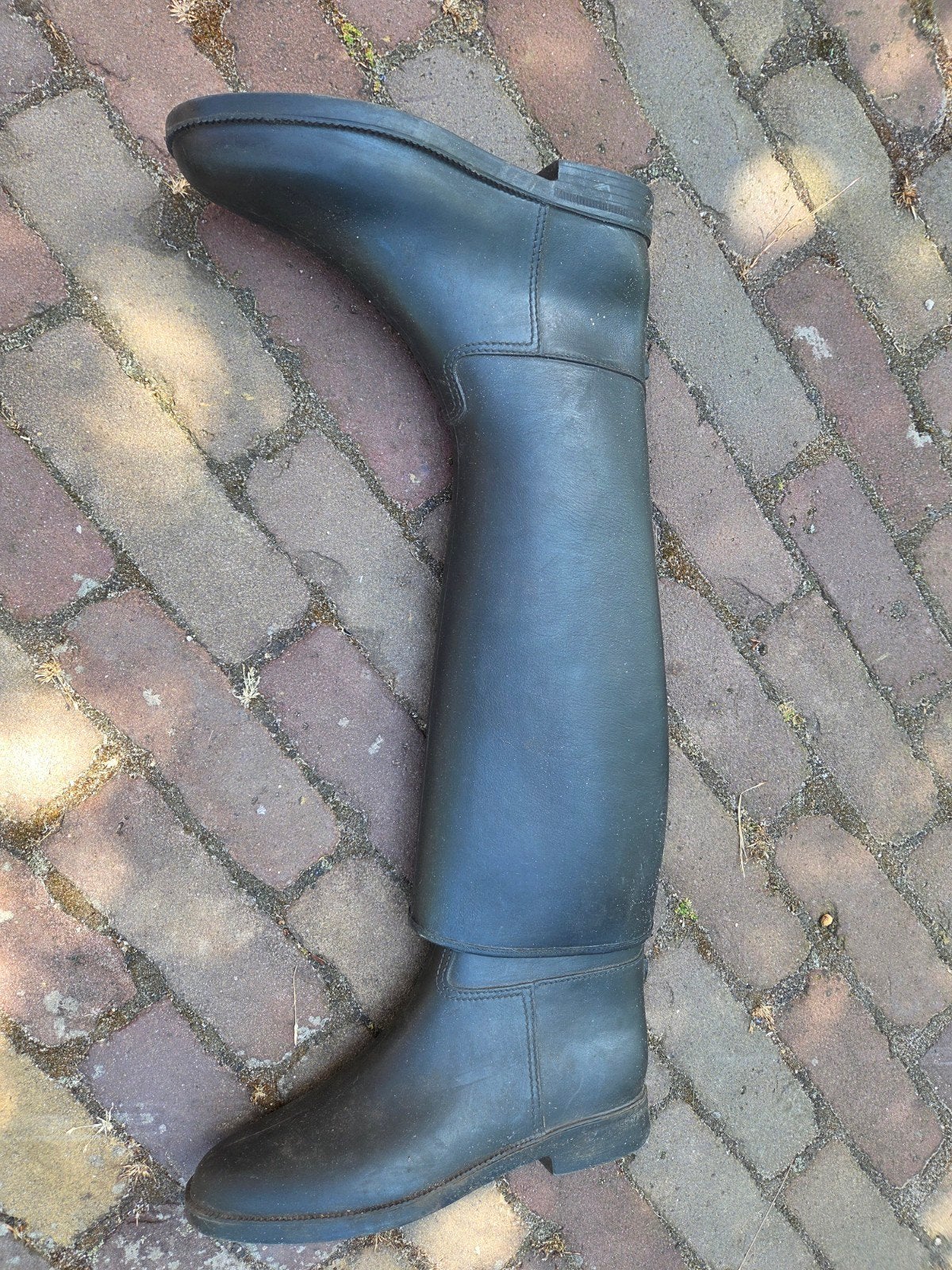 Paardrijlaarzen winner maat 38, Dieren en Toebehoren, Ophalen of Verzenden, Dressuur, Schoeisel