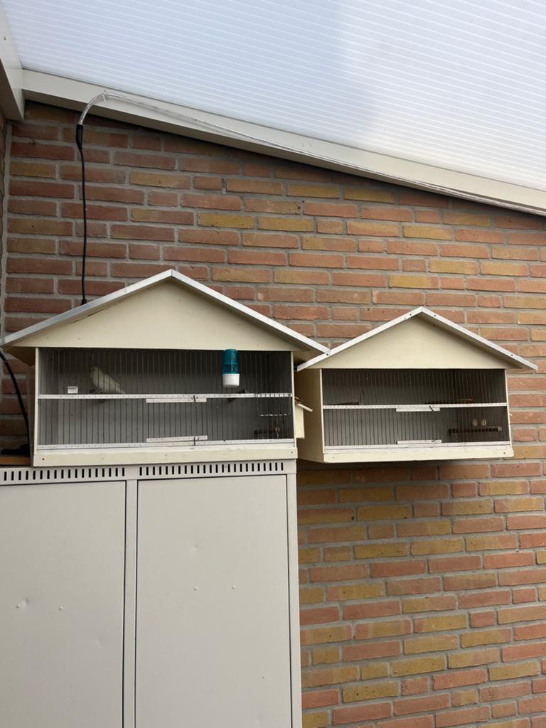 2 x exact dezelfde vogelkooien / zangkooien., Dieren en Toebehoren, Ophalen, Hout, Vogelkooi