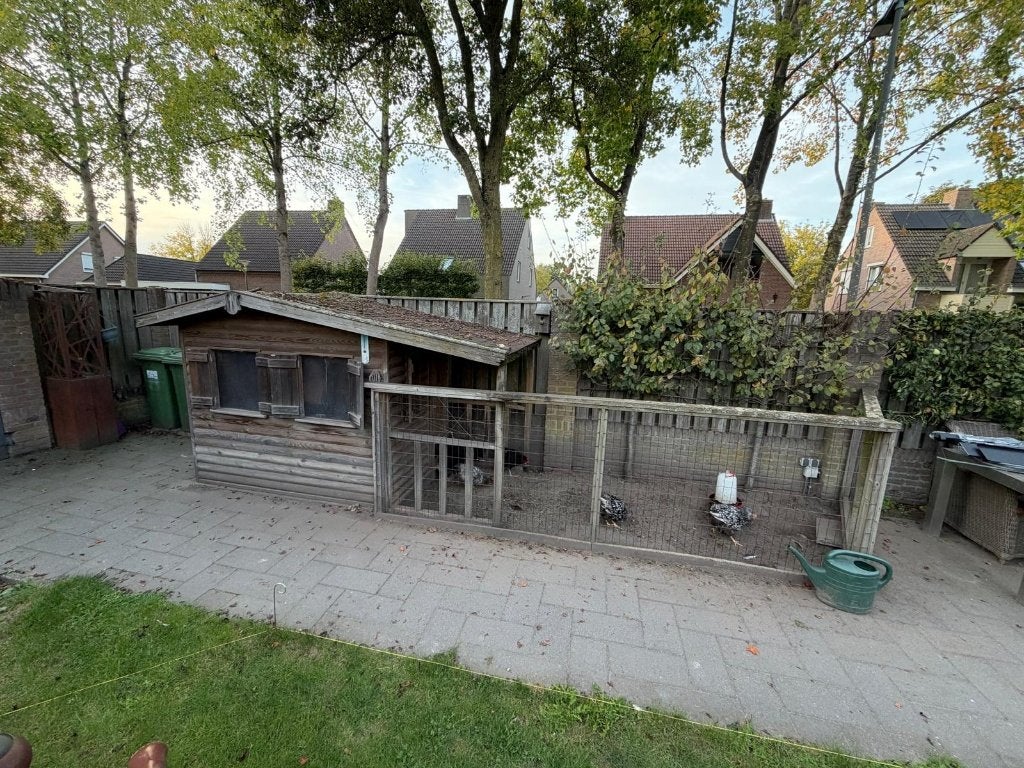 kippenhok, Dieren en Toebehoren, Ophalen, Gebruikt, Kippenhok of Kippenren
