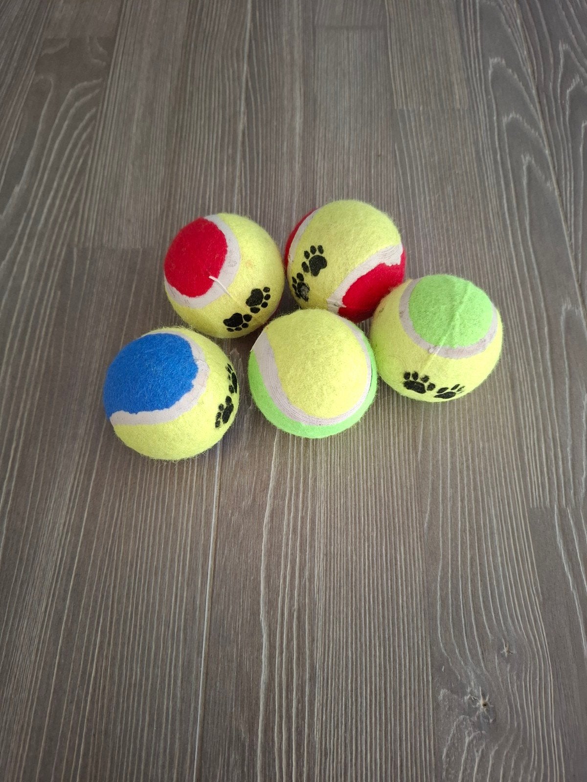 Nieuw speelgoed tennisbal voor hond, Ophalen of Verzenden, Nieuw, Apporteerspeelgoed