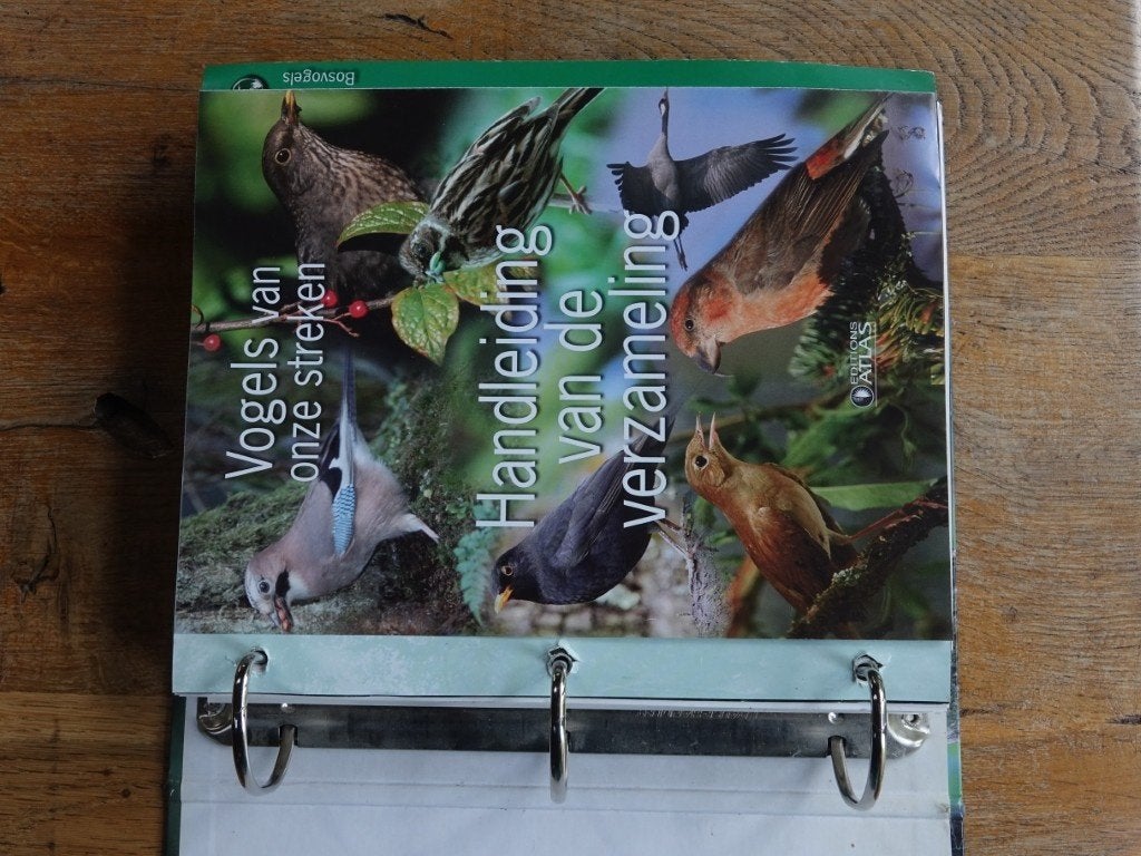 Vogels van onze streken, Ophalen, Zo goed als nieuw, Vogels