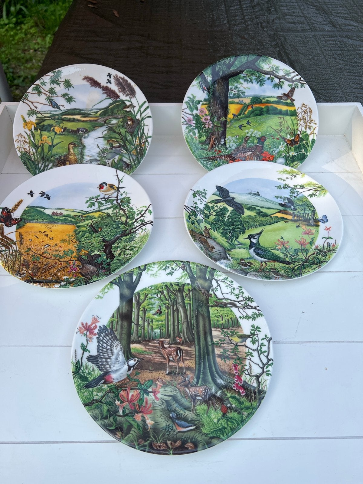Wedgwood  borden Collectie (5 borden), Ophalen of Verzenden