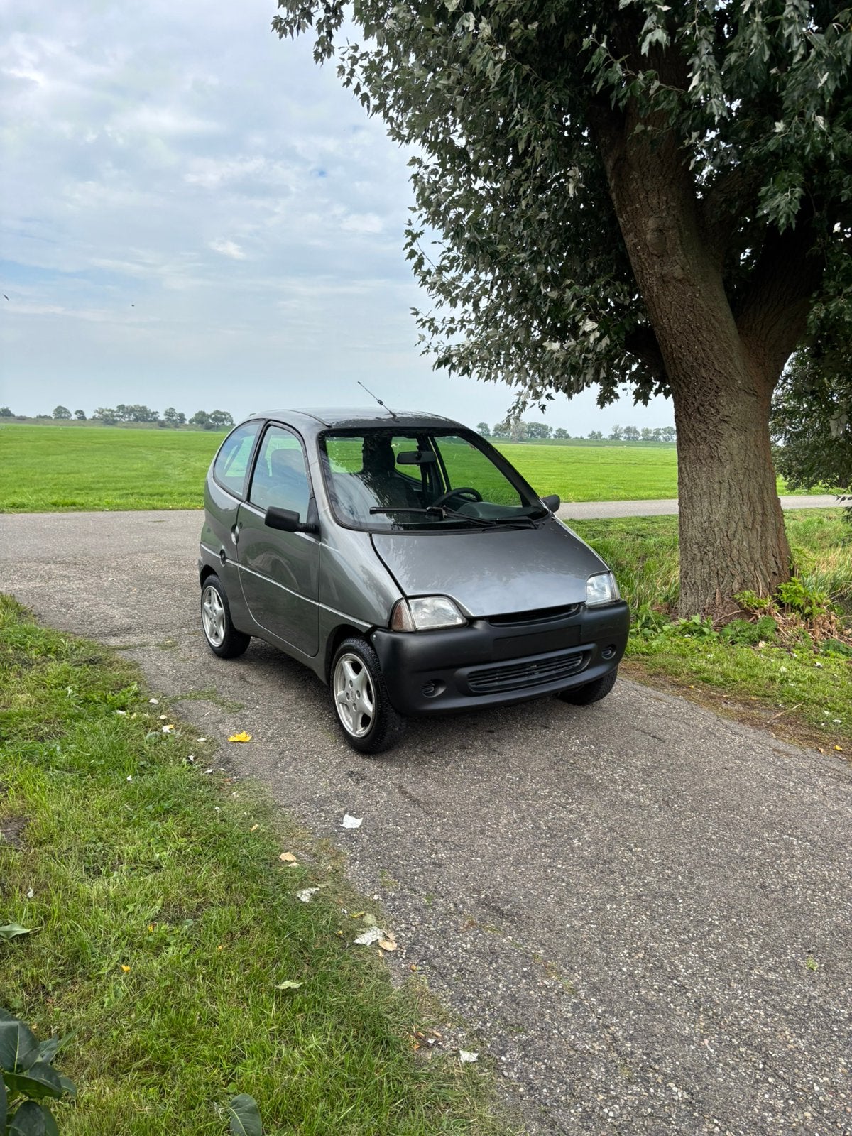 Ligier ambra / 2005 / in oke staat, Ophalen, 46 km of meer, 16 km/u of meer