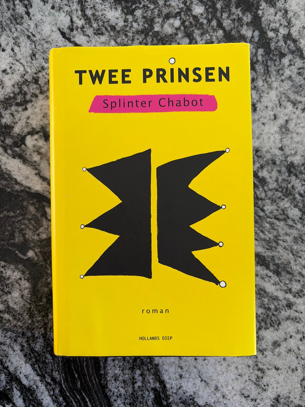 Twee Prinsen - Splinter Chabot (Roman), Boeken, Ophalen of Verzenden, Zo goed als nieuw, Nederland