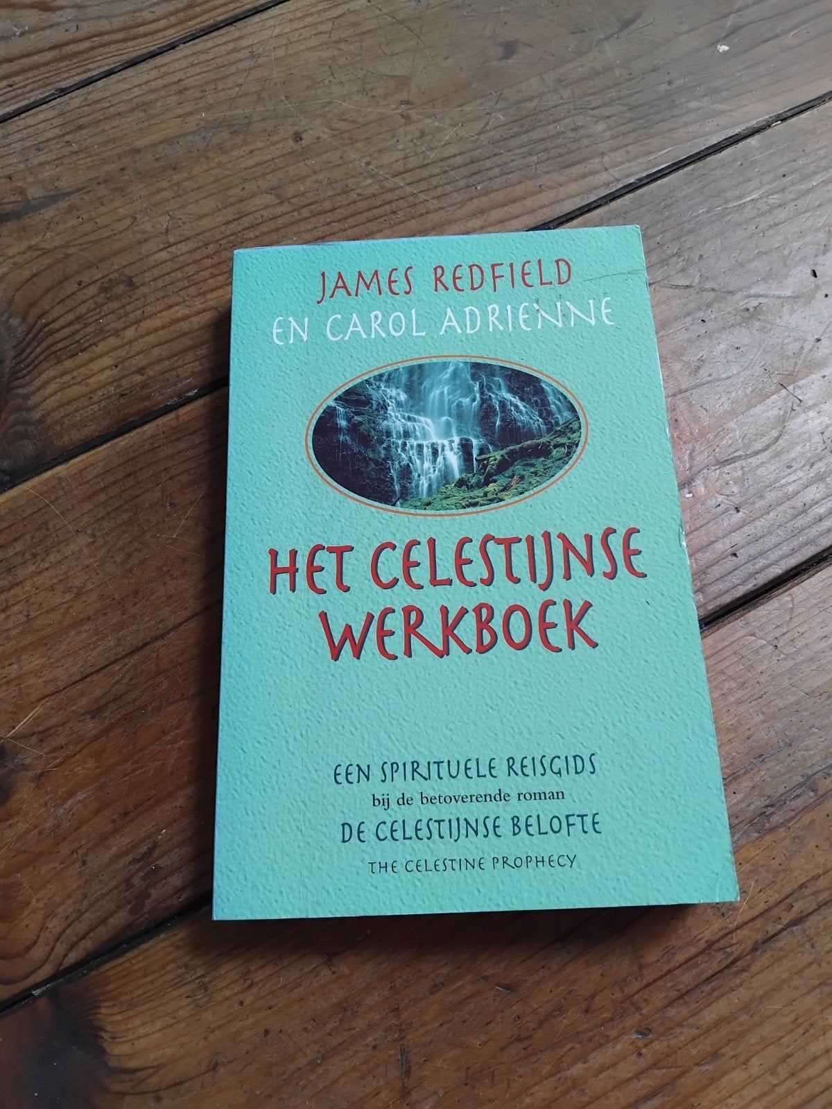 Het Celestijnse werkboek, Boeken, Gelezen, James Redfield, Overige typen, Ophalen of Verzenden