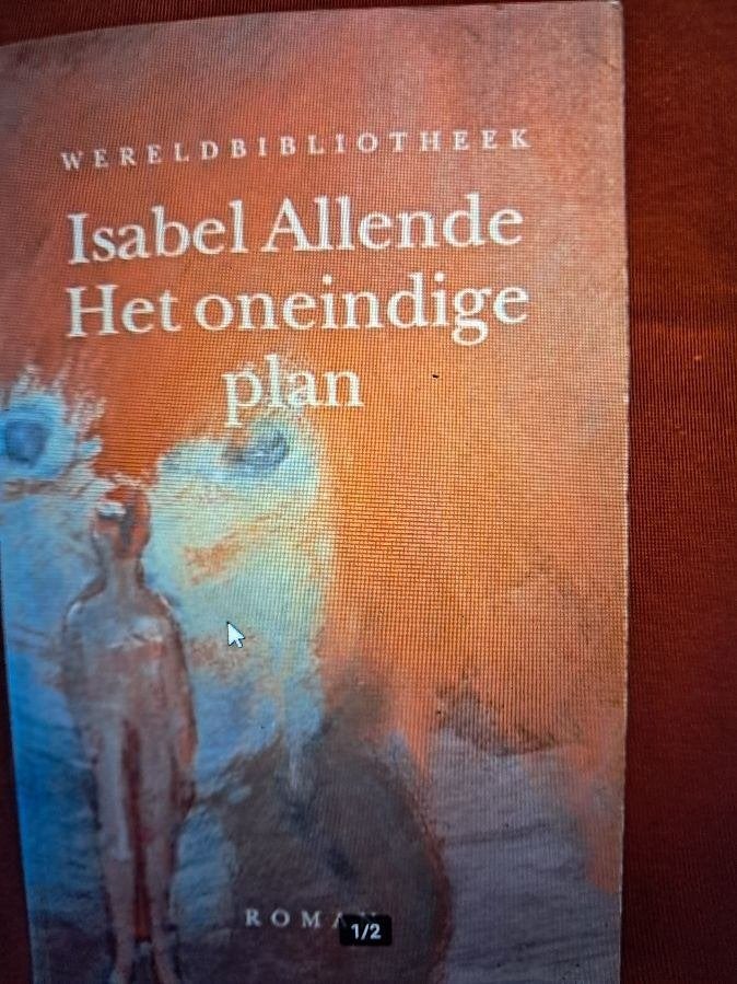 Het oneindige plan - Isabel Allende, Ophalen of Verzenden, Nieuw