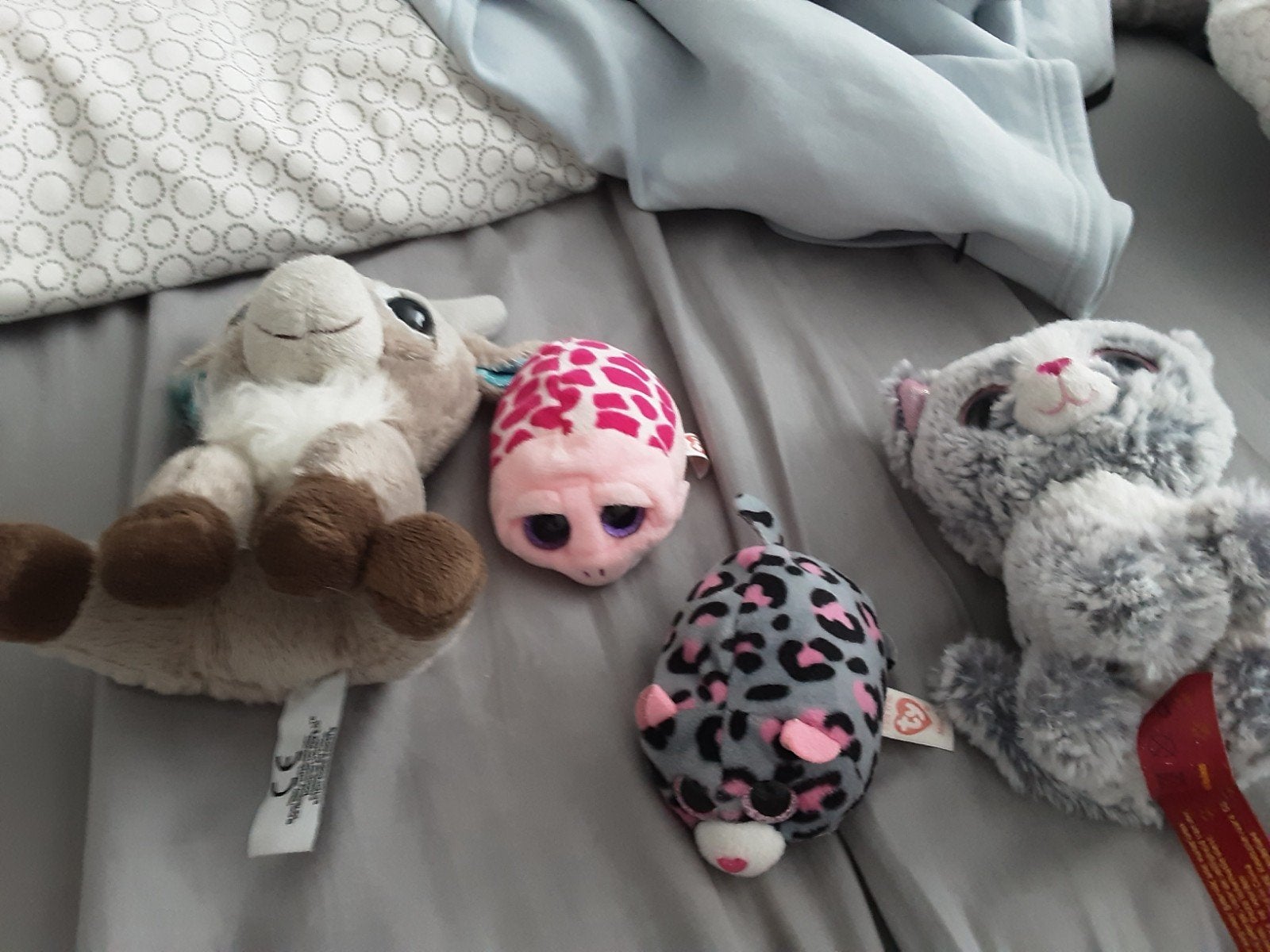 Verschillende ty knuffels, Ophalen of Verzenden, Knuffels