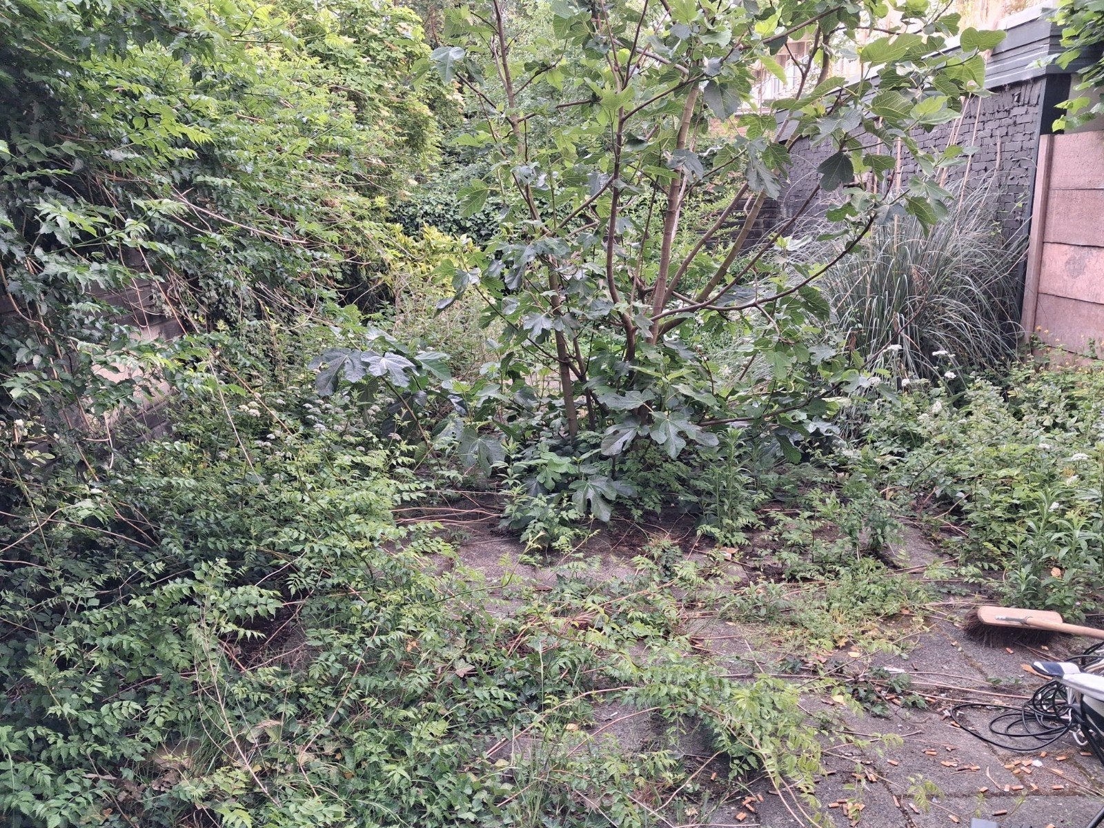 Tuinman voor tuinonderhoud, Ophalen of Verzenden