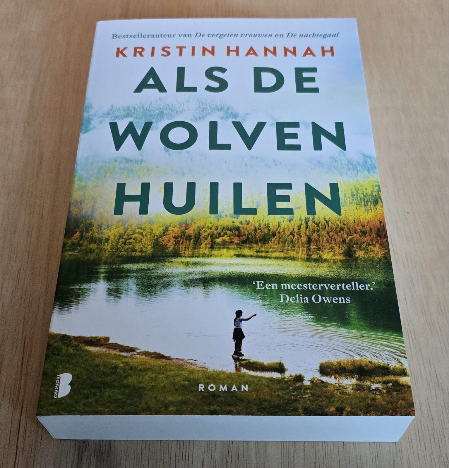 diverse boeken verkoop, Boeken, Ophalen of Verzenden, Zo goed als nieuw, Kristin Hannah