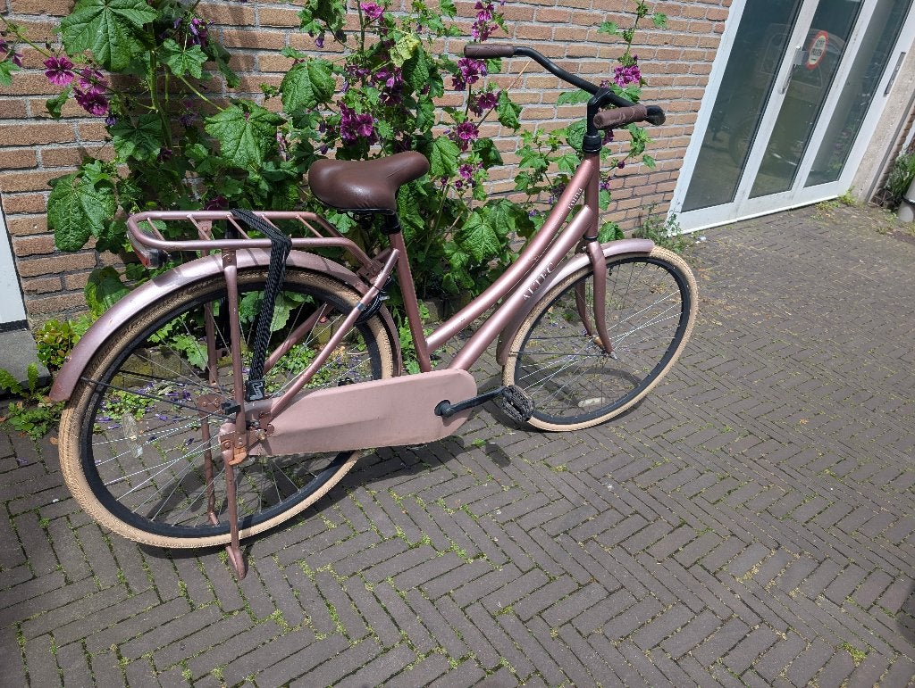 Roze dames fiets / Rose omafiets Altec, Terugtraprem, 53 tot 56 cm, Zo goed als nieuw, Ophalen