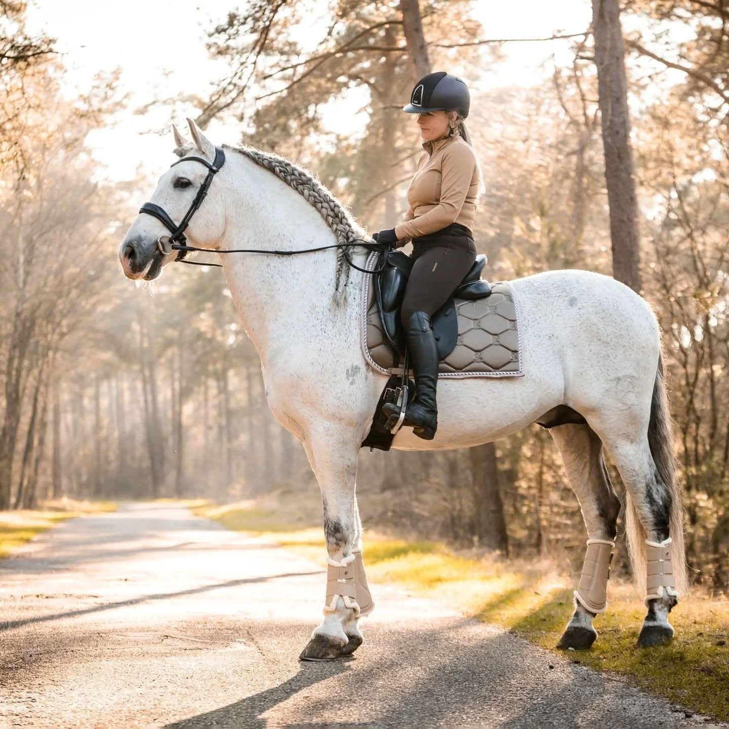 STALLEN VRIJ VOOR TRAININGSPAARDEN, Dieren en Toebehoren, Paarden, 0 tot 2 jaar