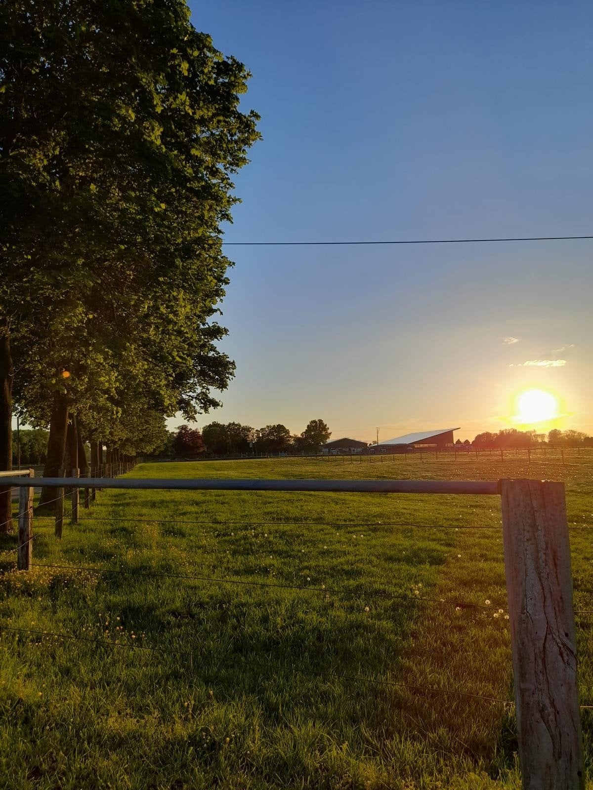 24/7 paddocks, Opfok