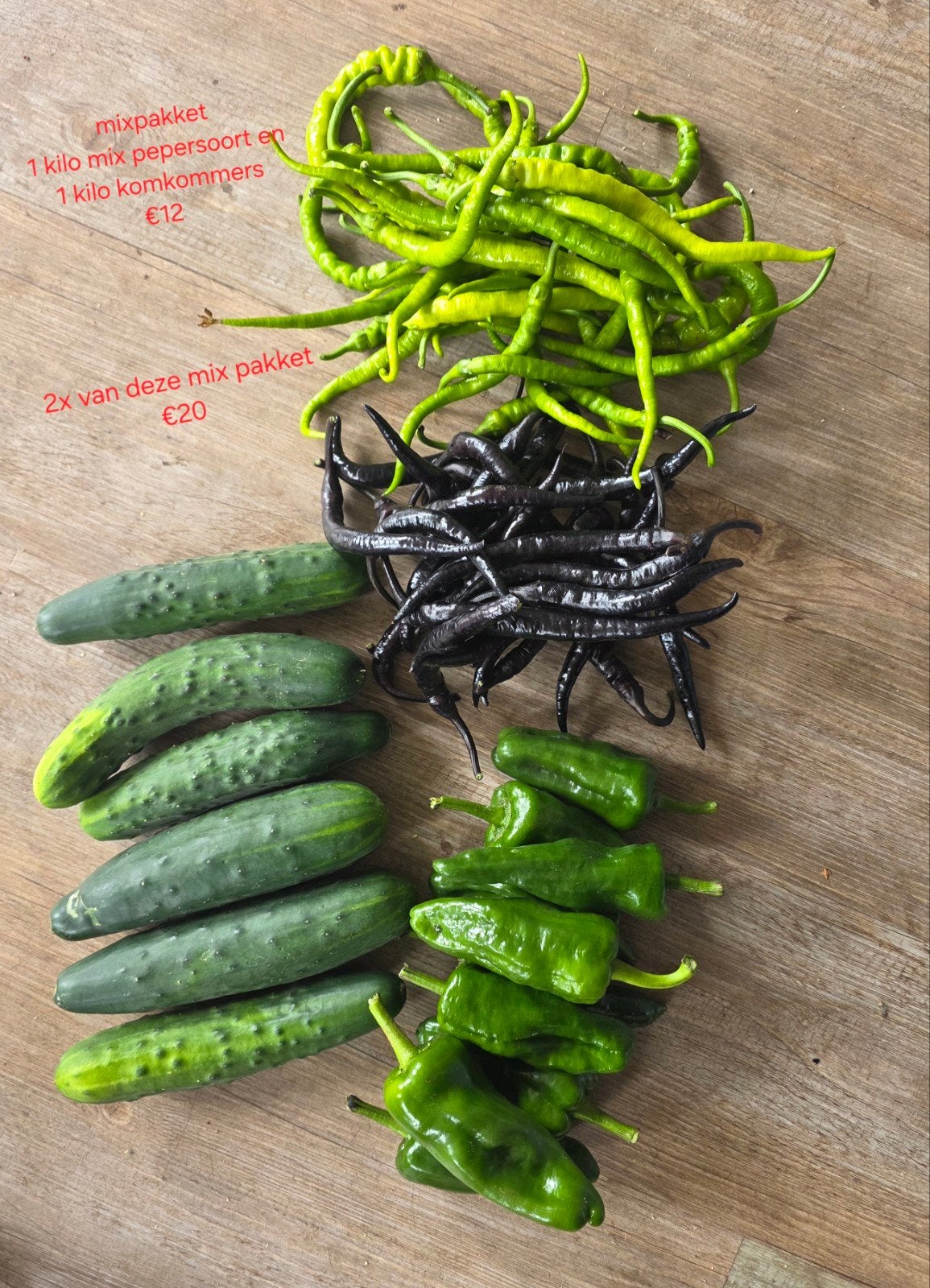 Mix pakket pepers en komkommers 100% biologisch, Ophalen of Verzenden, Volle zon