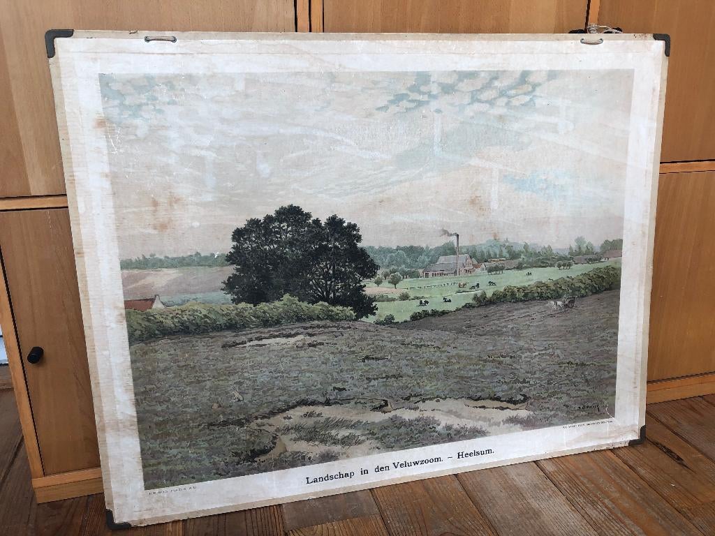 schoolplaat "Landschap in den Veluwzoom - Heelsum", Antiek en Kunst, Ophalen of Verzenden, Natuur en Biologie