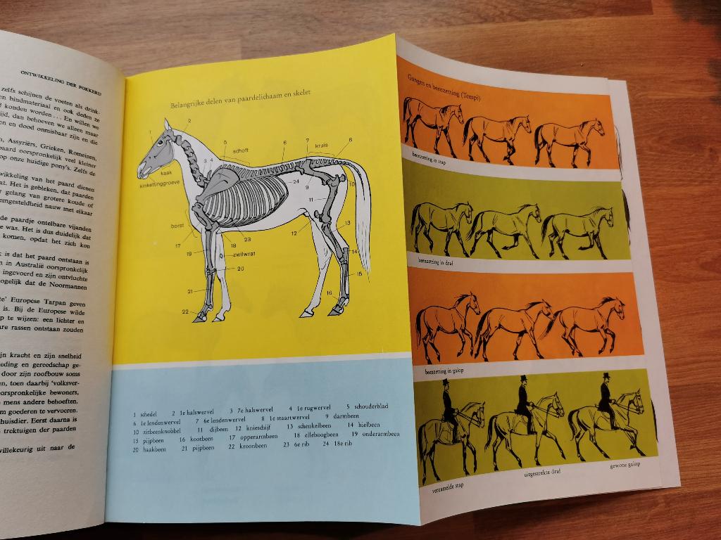 Paarden ruiters paardensport - H.J. Köhler, Ophalen of Verzenden, Gelezen, Paarden of Pony's
