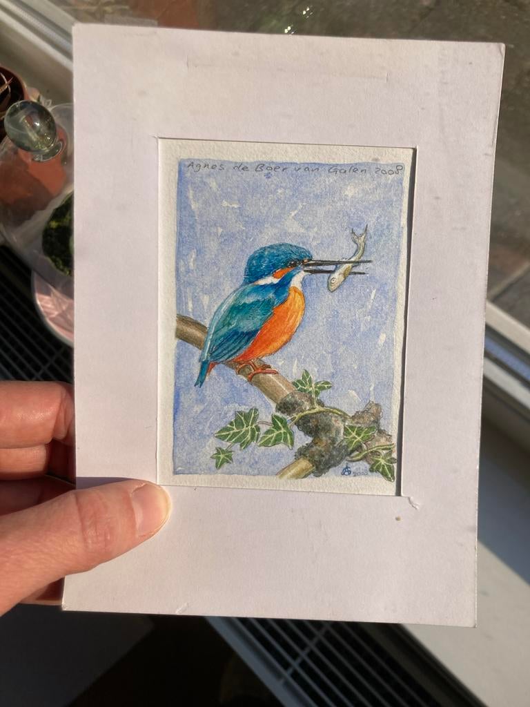 Aquarel IJsvogel met vis - Agnes de Boer van Galen (2000), Ophalen of Verzenden