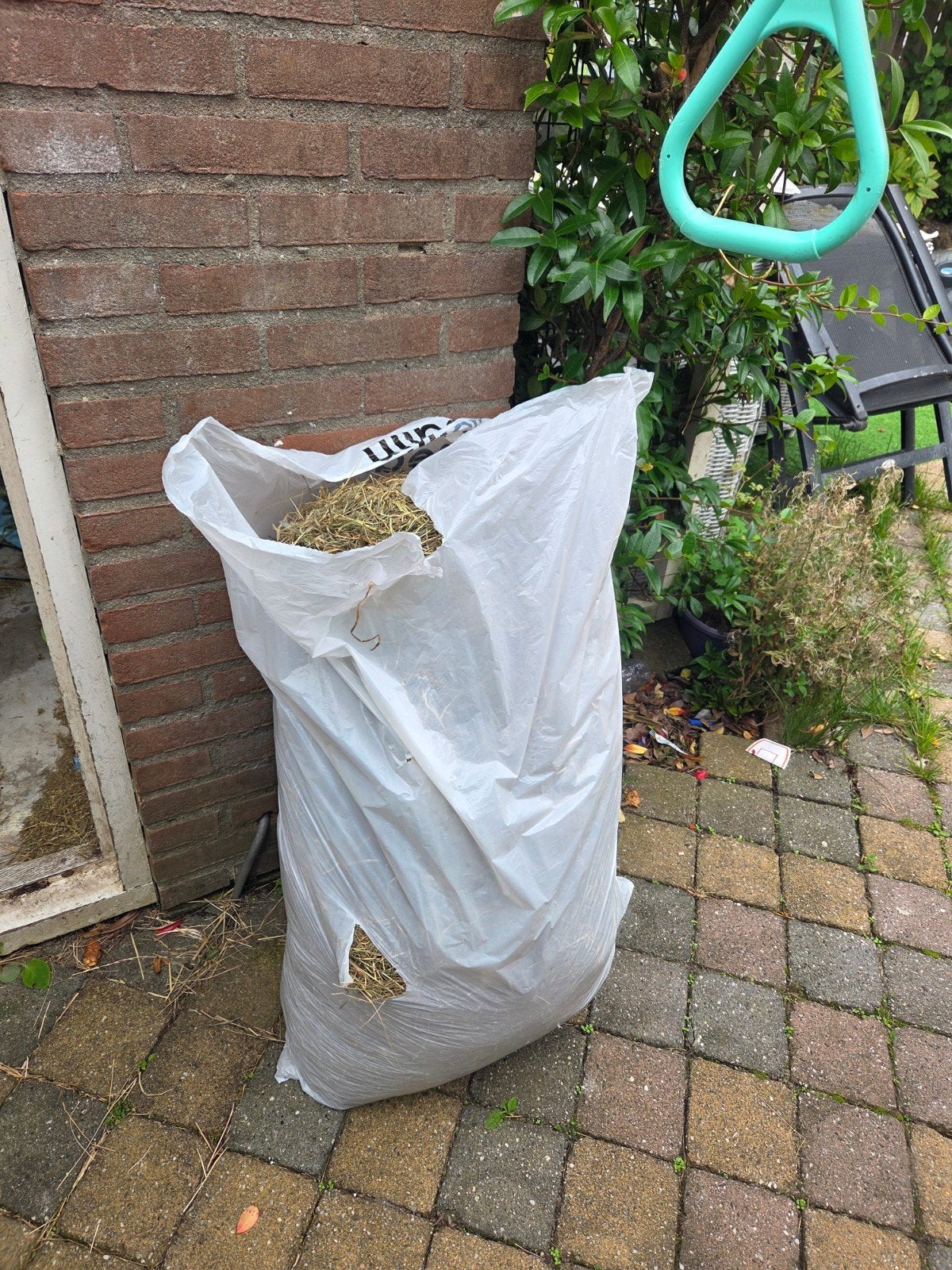 Grote zak hooi, Dieren en Toebehoren, Ophalen, Knaagdier of Konijn