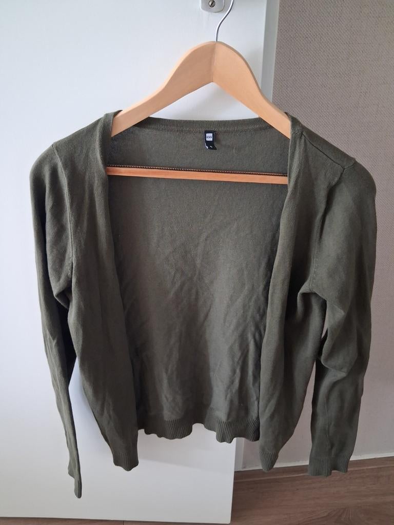 Hema vest mt 36 groen, Ophalen of Verzenden, Zo goed als nieuw, Maat 36 (S), Groen